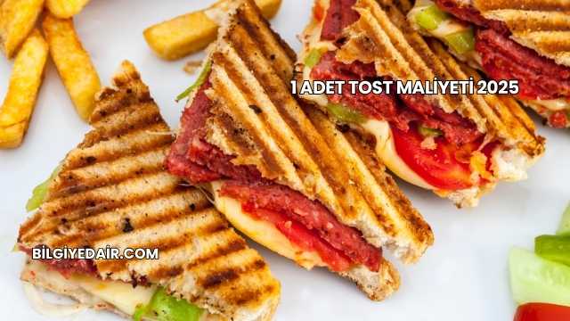 1 Adet Tost Maliyeti 2025