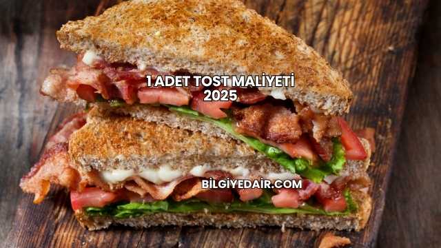1 Adet Tost Maliyeti 2025