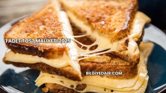 1 Adet Tost Maliyeti 2025