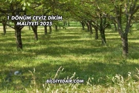 1 Dönüm Ceviz Dikim Maliyeti 2025
