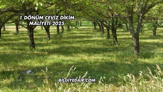 1 Dönüm Ceviz Dikim Maliyeti 2025