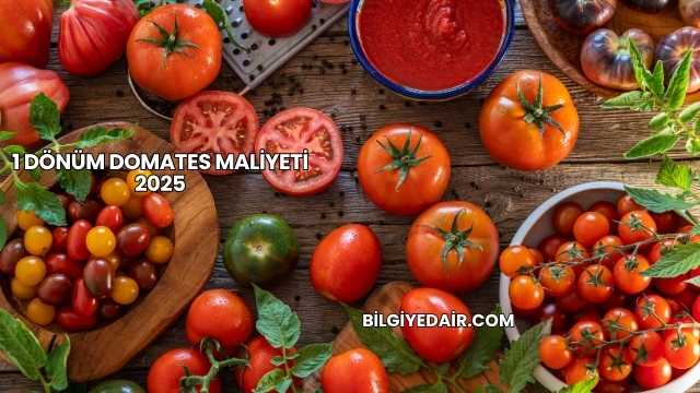 1 Dönüm Domates Maliyeti 2025