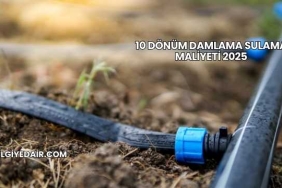 10 Dönüm Damlama Sulama Maliyeti 2025