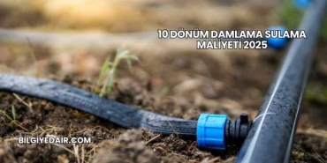 10 Dönüm Damlama Sulama Maliyeti 2025