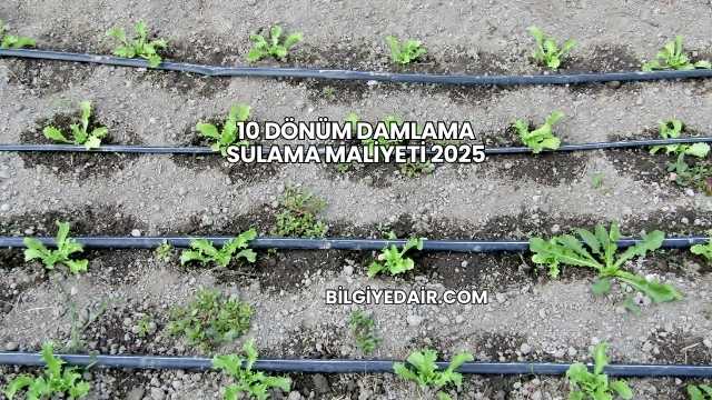 10 Dönüm Damlama Sulama Maliyeti 2025