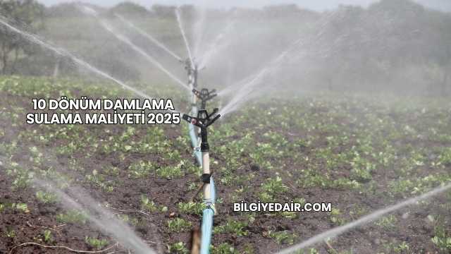 10 Dönüm Damlama Sulama Maliyeti 2025