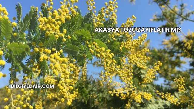 Akasya Tozu Zayıflatır mı?