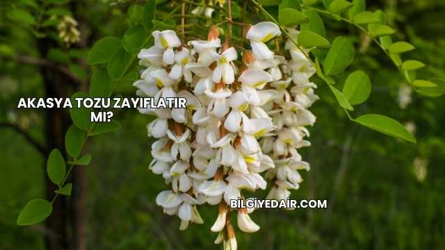Akasya Tozu Zayıflatır mı?