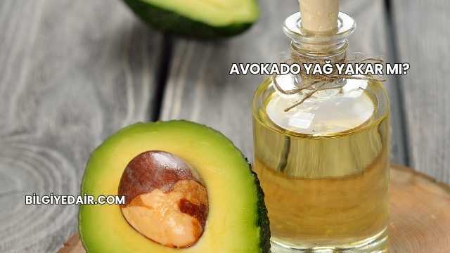 Avokado Yağ Yakar mı?