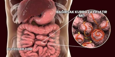 Bağırsak Kurdu Zayıflatır mı?