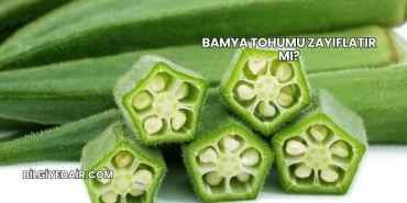 Bamya Tohumu Zayıflatır mı?