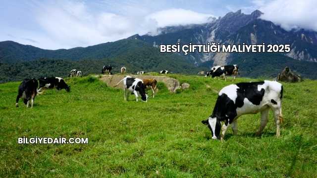 Besi Çiftliği Maliyeti 2025