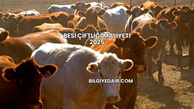 Besi Çiftliği Maliyeti 2025