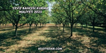 Ceviz Bahçesi Kurma Maliyeti 2025