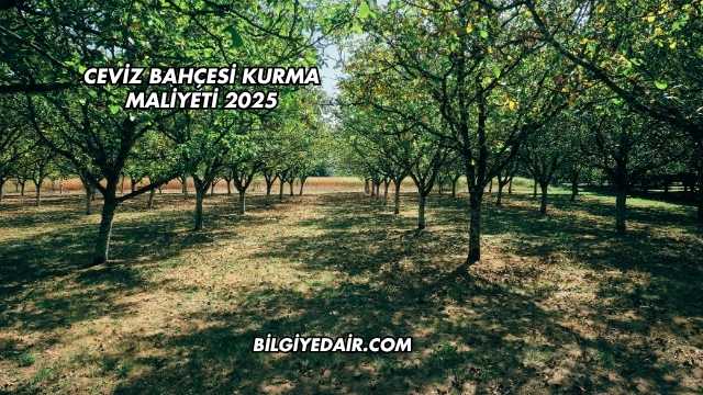 Ceviz Bahçesi Kurma Maliyeti 2025