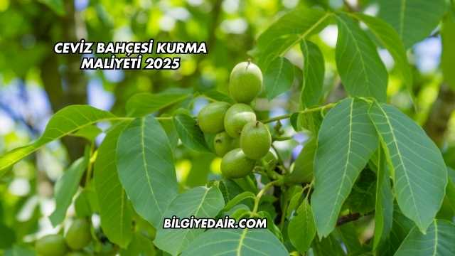 Ceviz Bahçesi Kurma Maliyeti 2025
