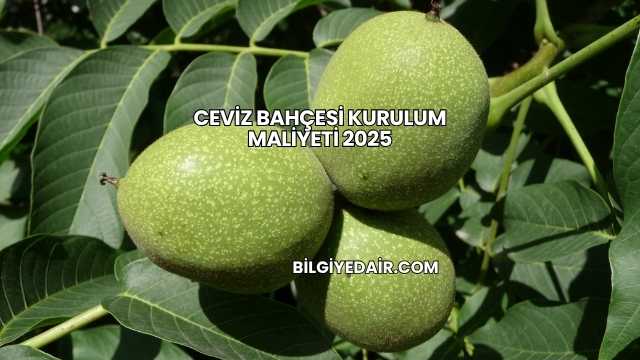 Ceviz Bahçesi Kurulum Maliyeti 2025