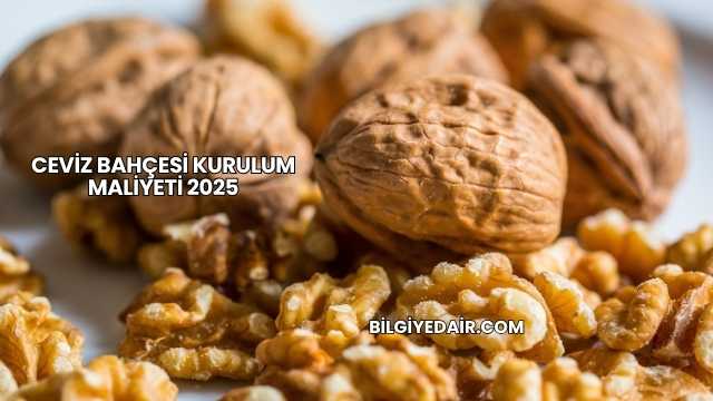 Ceviz Bahçesi Kurulum Maliyeti 2025