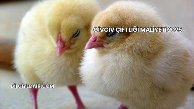 Civciv Çiftliği Maliyeti 2025
