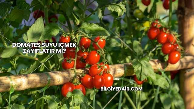 Domates Suyu İçmek Zayıflatır mı?
