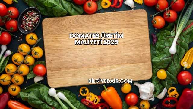 Domates Üretim Maliyeti 2025