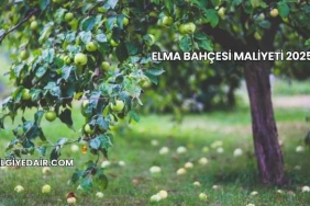 Elma Bahçesi Maliyeti 2025