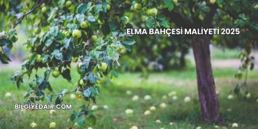 Elma Bahçesi Maliyeti 2025