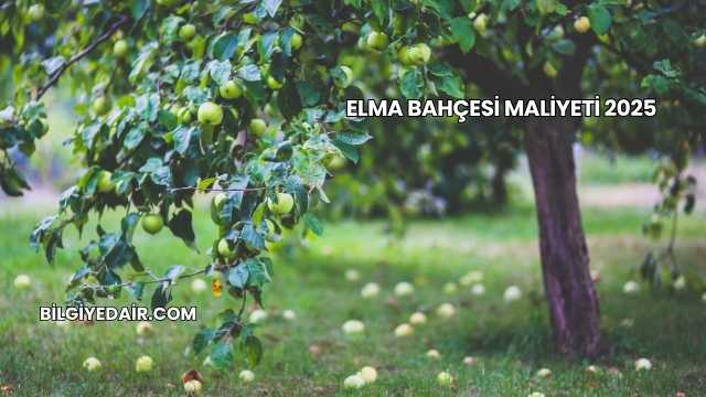 Elma Bahçesi Maliyeti 2025