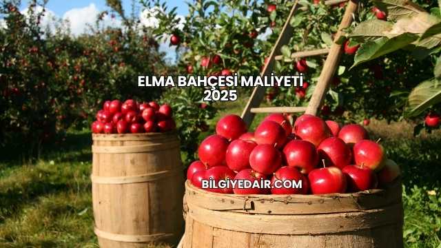 Elma Bahçesi Maliyeti 2025