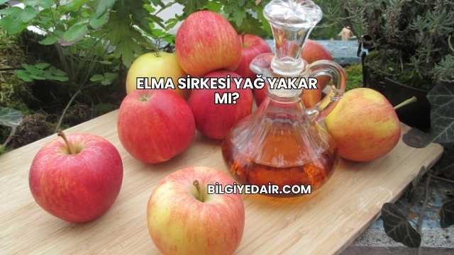 Elma Sirkesi Yağ Yakar mı?