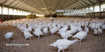 Hindi Çiftliği Kurulum Maliyeti 2025