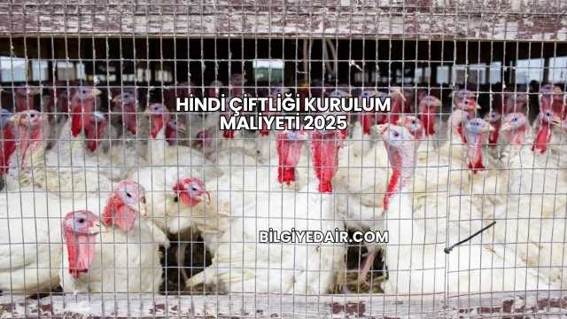 Hindi Çiftliği Kurulum Maliyeti 2025