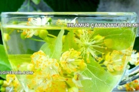 Ihlamur Çayı Zayıflatır mı?