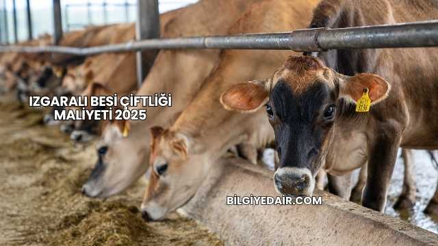Izgaralı Besi Çiftliği Maliyeti 2025