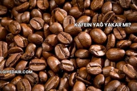 Kafein Yağ Yakar mı?