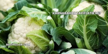 Karnabahar Zayıflatır mı?