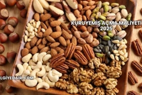 Kuruyemiş Açma Maliyeti 2025