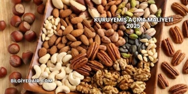 Kuruyemiş Açma Maliyeti 2025