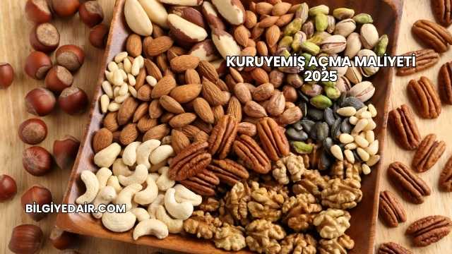 Kuruyemiş Açma Maliyeti 2025