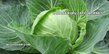 Lahana Kürü Zayıflatır mı?