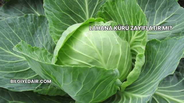 Lahana Kürü Zayıflatır mı?