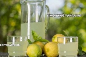 Limon Yağ Yakar mı?
