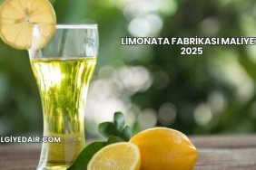 Limonata Fabrikası Maliyeti 2025