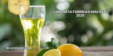 Limonata Fabrikası Maliyeti 2025