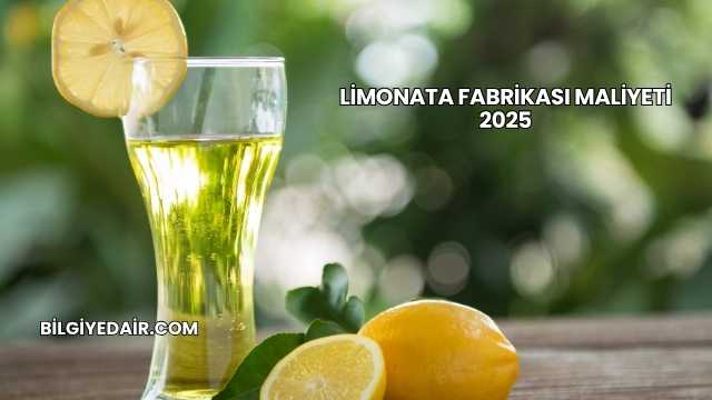 Limonata Fabrikası Maliyeti 2025