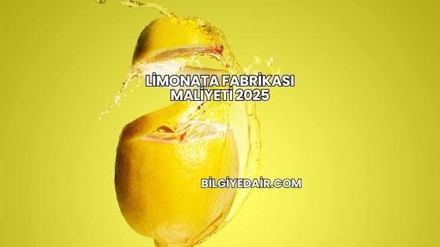 Limonata Fabrikası Maliyeti 2025