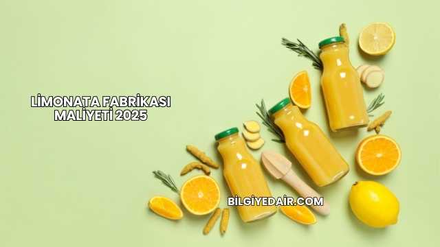 Limonata Fabrikası Maliyeti 2025