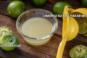 Limonlu Su Yağ Yakar mı?