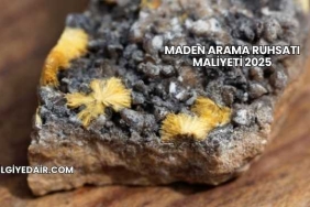 Maden Arama Ruhsatı Maliyeti 2025