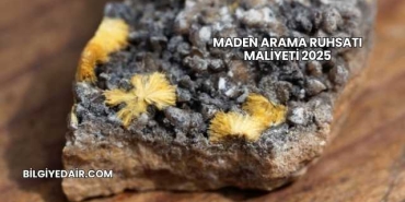 Maden Arama Ruhsatı Maliyeti 2025